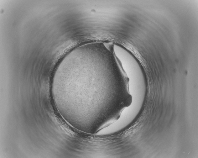 X0000088620442200706221459