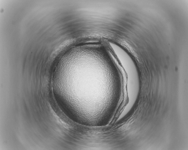 X0000088620444200706221459