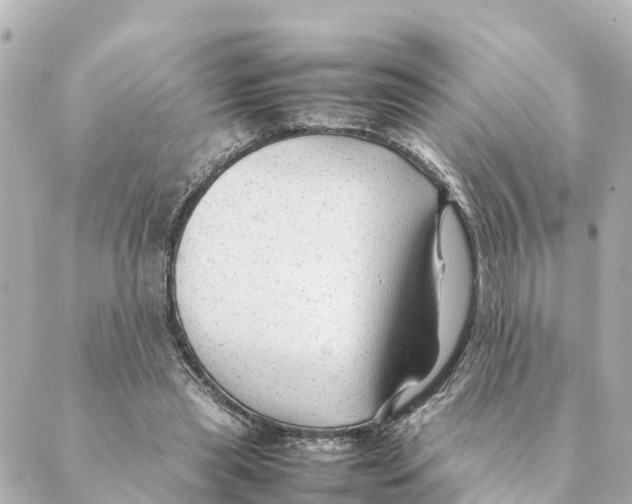 X0000088620445200706221459