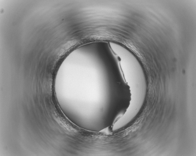 X0000088620446200706221459