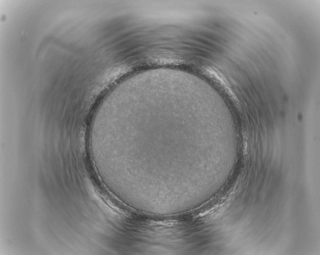 X0000088620447200706221459