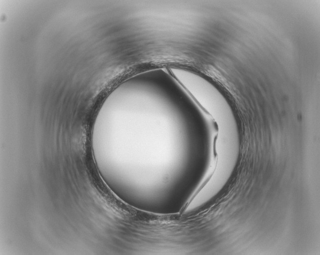 X0000088620448200706221459