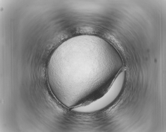 X0000088620449200706221459