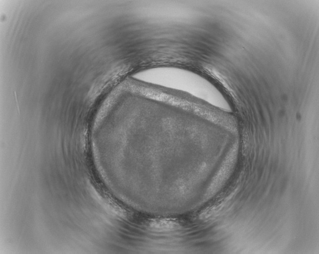 X0000088620451200706221459