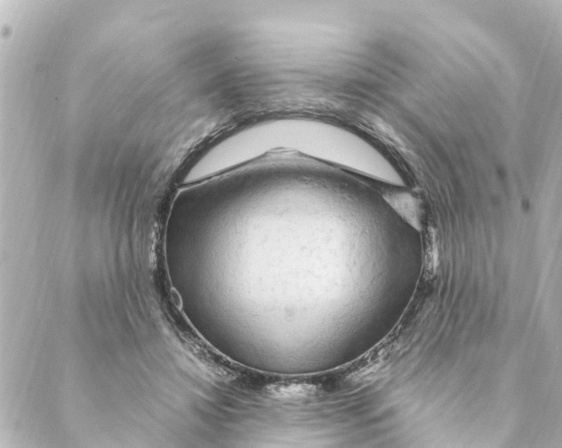 X0000088620452200706221500