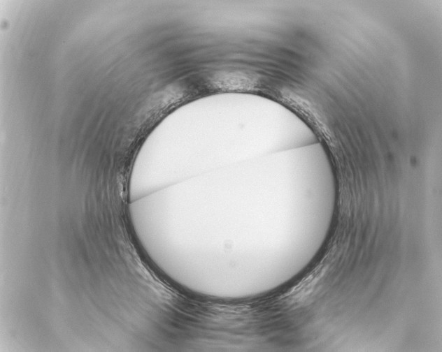 X0000088620453200706221500