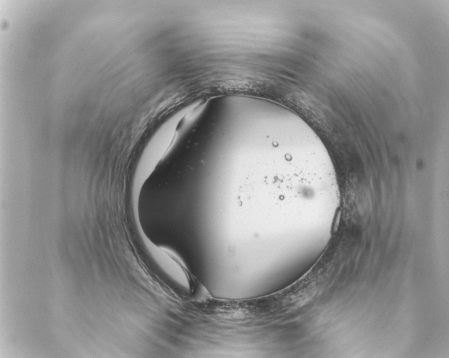 X0000088620454200706221500