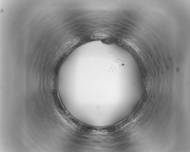 X0000088620455200706221500