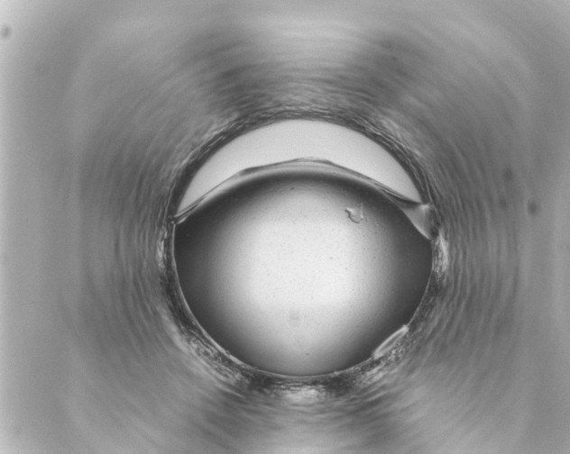 X0000088620456200706221500