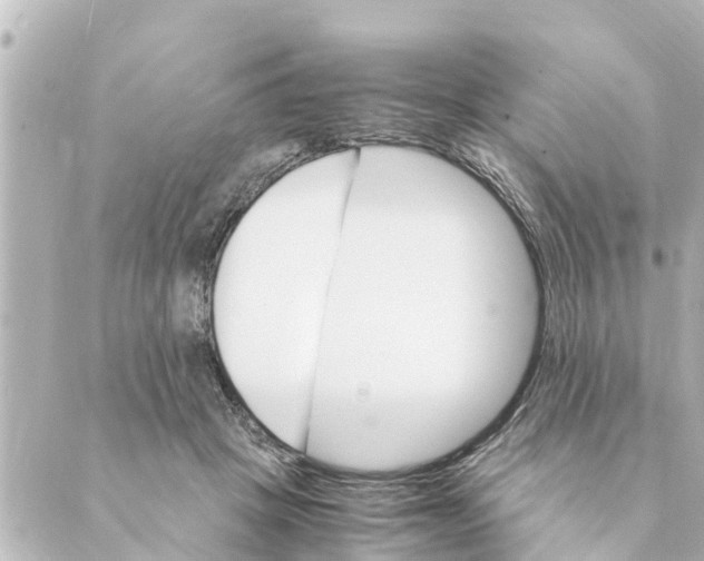 X0000088620457200706221500