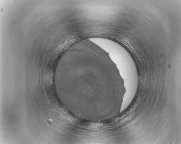 X0000088620458200706221500