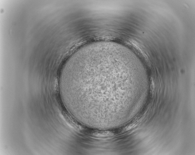 X0000088620459200706221500