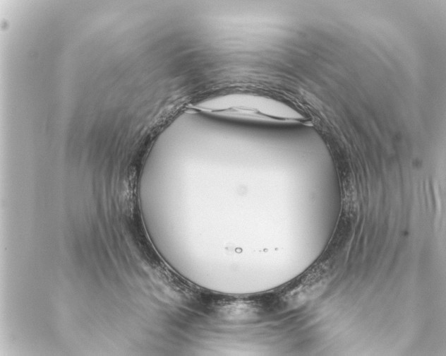 X0000088620460200706221500