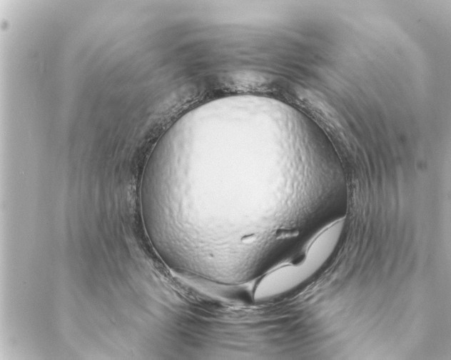 X0000088620461200706221500