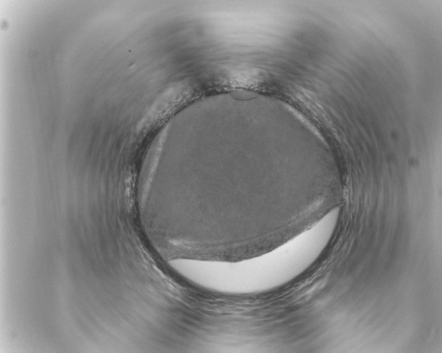 X0000088620462200706221500