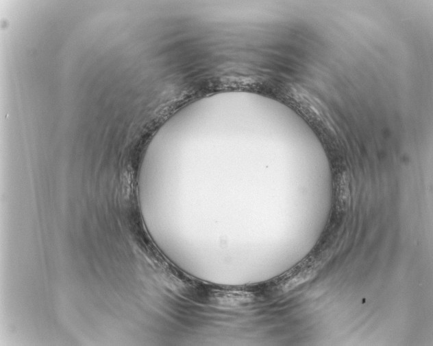 X0000088620463200706221500