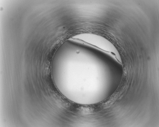 X0000088620464200706221500