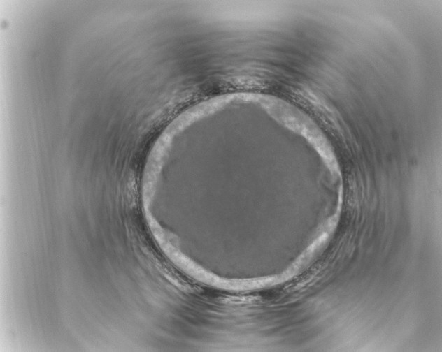 X0000088620465200706221500