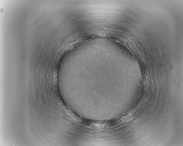 X0000088620466200706221500