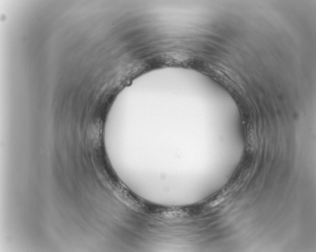 X0000088620468200706221500