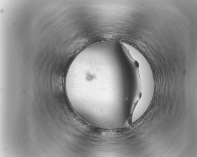 X0000088620470200706221500