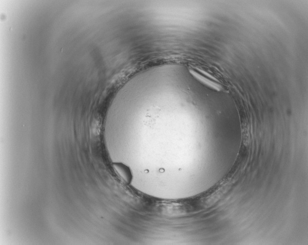 X0000088620472200706221500