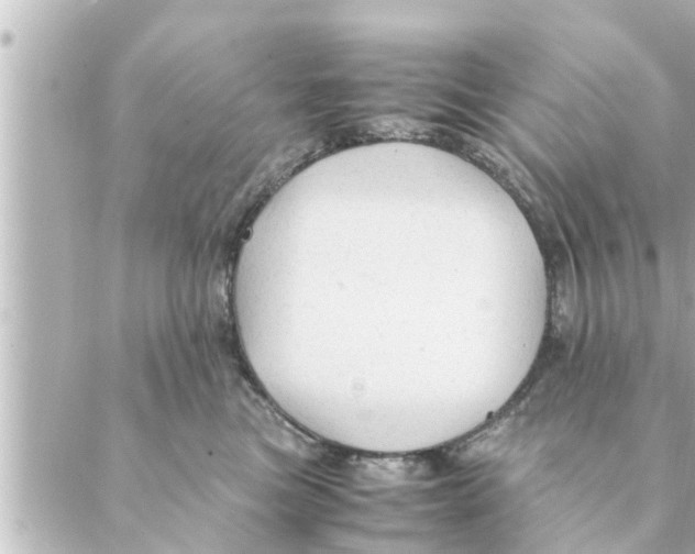 X0000088620473200706221500