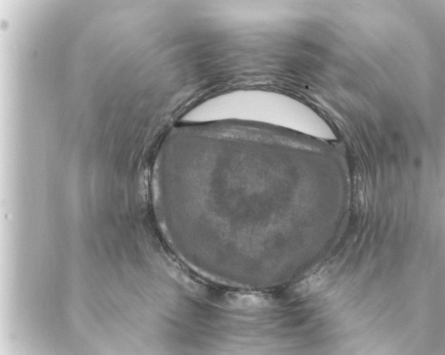 X0000088620475200706221500