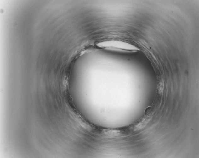 X0000088620476200706221500