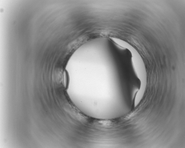 X0000088620478200706221500