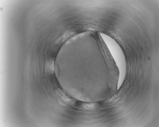 X0000088620479200706221500