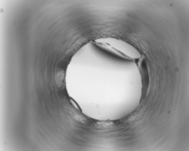 X0000088620480200706221500