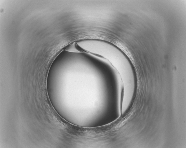 X0000088620481200706221459