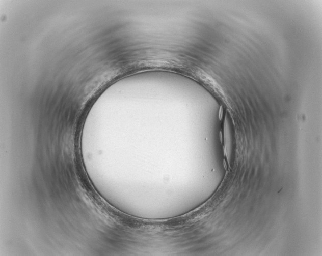 X0000088620482200706221459