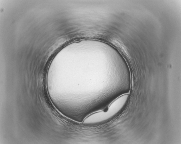 X0000088620483200706221459