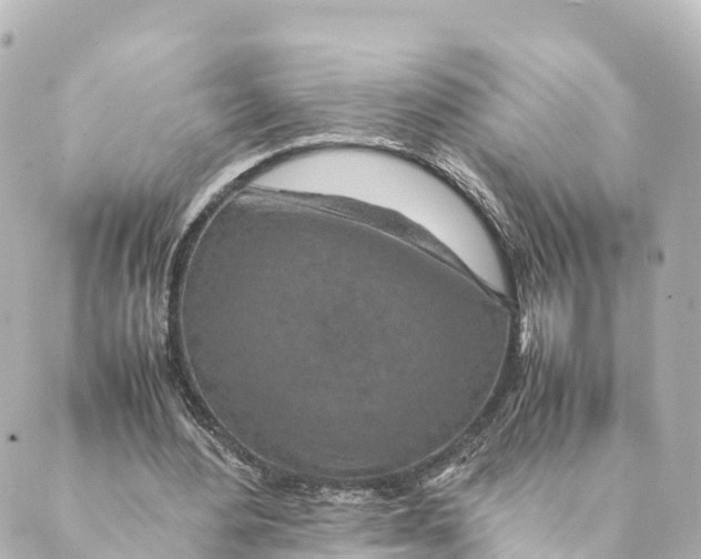 X0000088620484200706221459