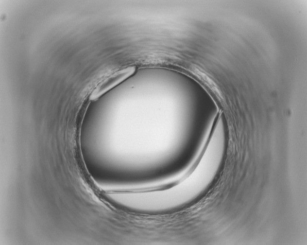 X0000088620485200706221459