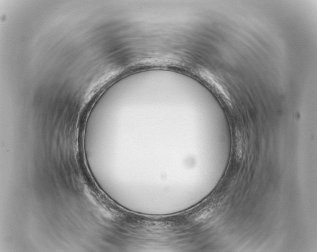 X0000088620486200706221459