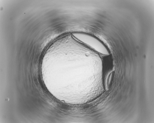 X0000088620487200706221459