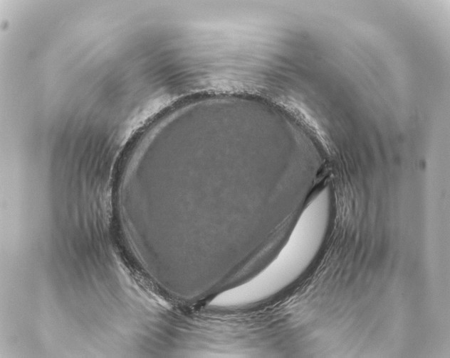 X0000088620488200706221459