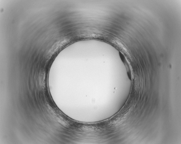 X0000088620490200706221459