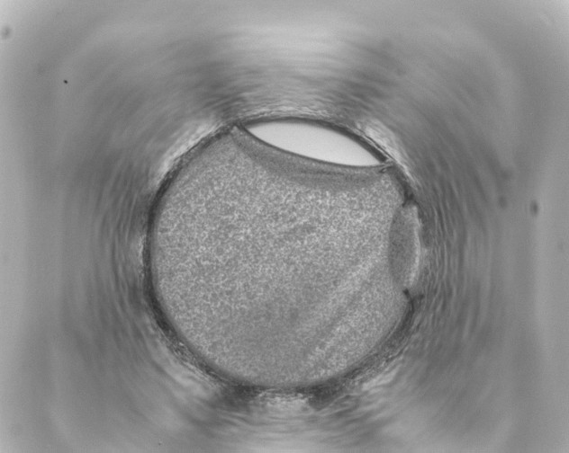 X0000088620491200706221459