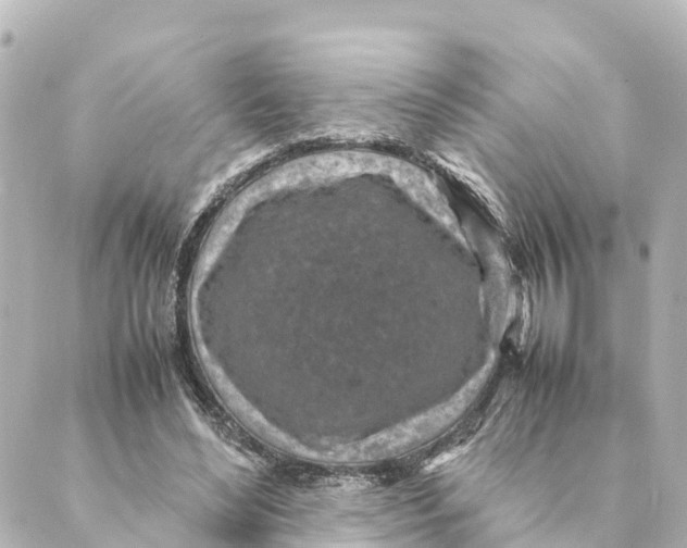 X0000088620492200706221459