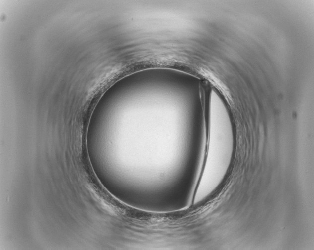 X0000088620493200706221459