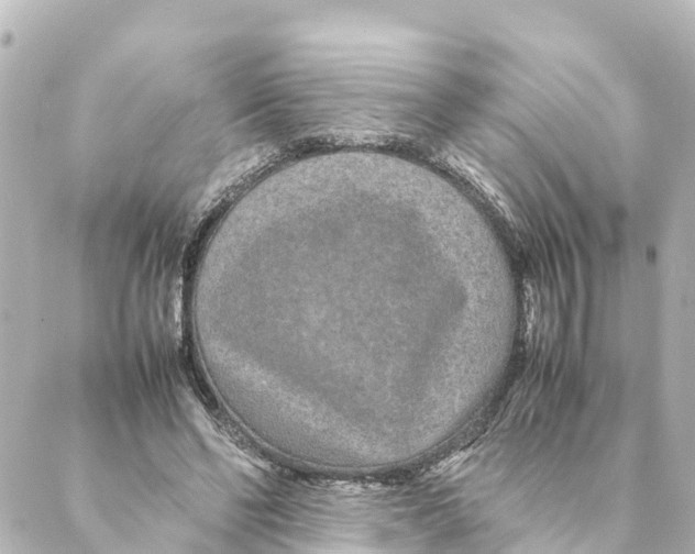 X0000088620494200706221459