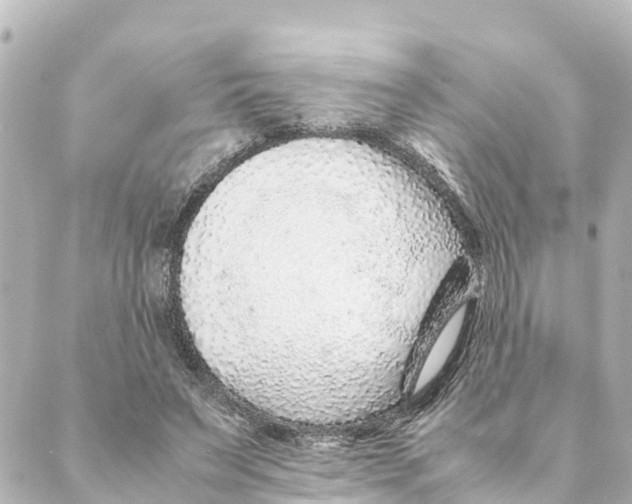 X0000088620495200706221459