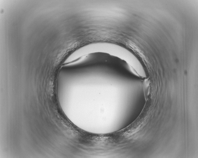 X0000088620497200706221459