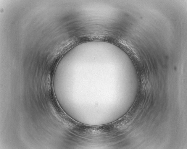 X0000088620498200706221459