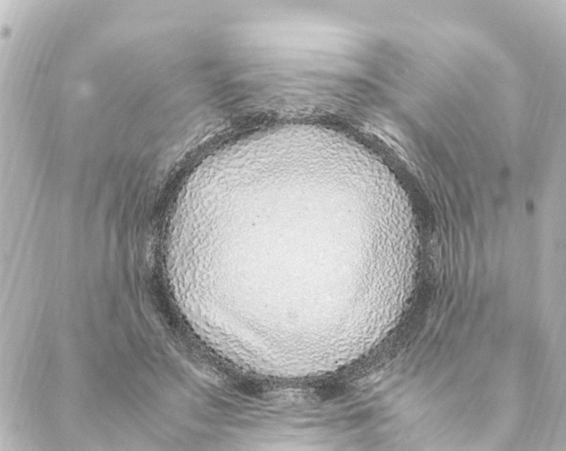 X0000088620499200706221459