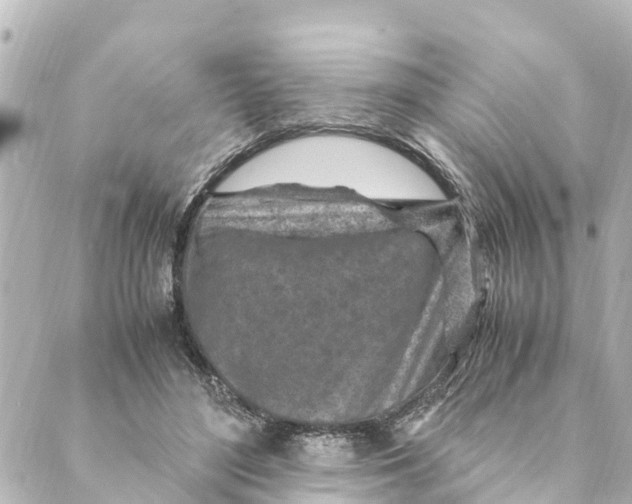 X0000088620500200706221459